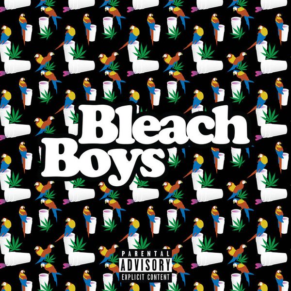Bleach Boys cover art